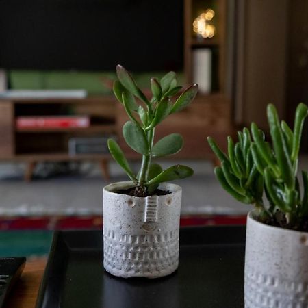 Art House Apartment Драма Екстериор снимка